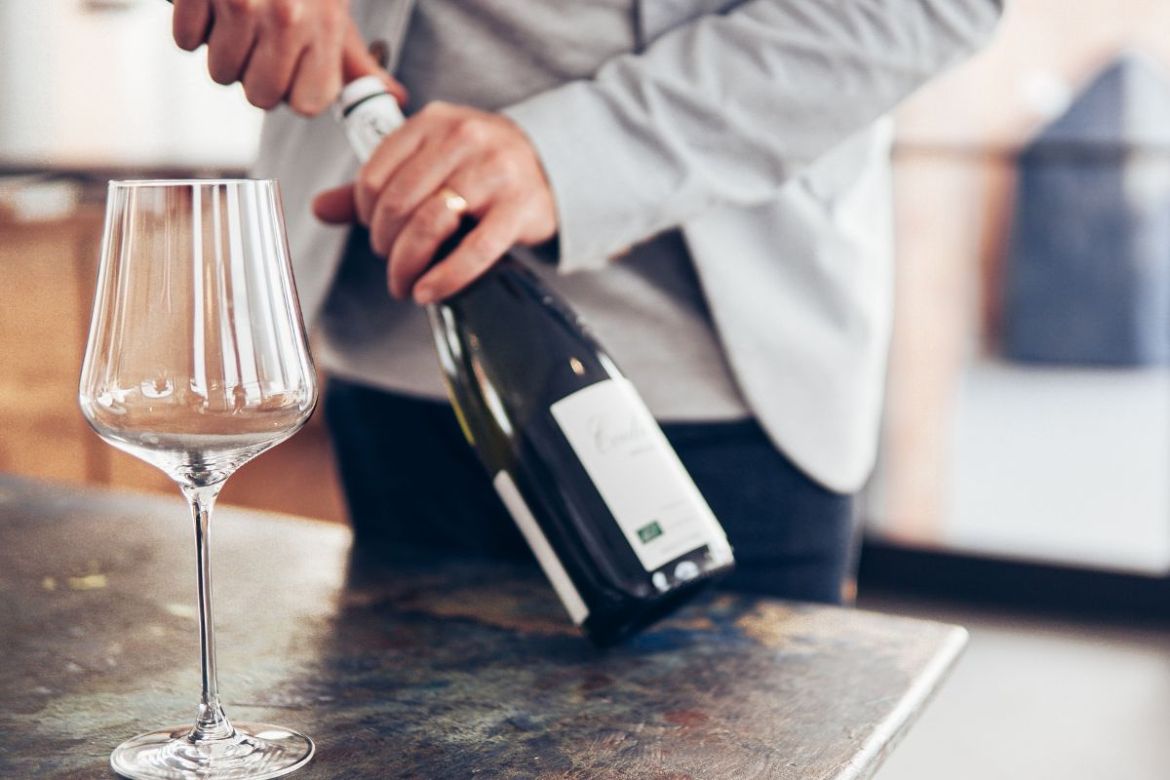 Tipos de copas de vino: aprende a diferenciarlas – JUST B